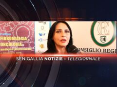 senigallia notizie telegiornale