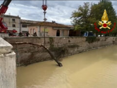 Vigili del Fuoco al lavoro per la disostruzione di ponte Garibaldi