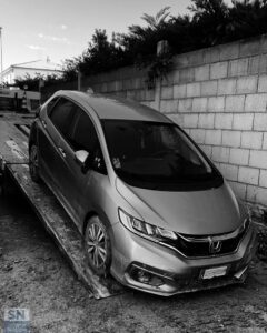 Verrà guarita? - Foto di Franco Senigalliesi