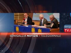 senigallia notizie telegiornale