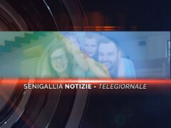 senigallia notizie telegiornale