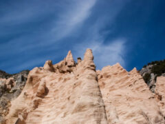 Lame Rosse