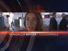 senigallia notizie telegiornale