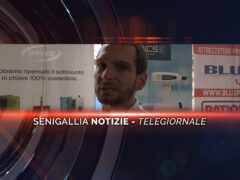 senigallia notizie telegiornale