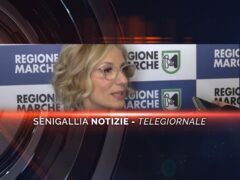 senigallia notizie telegiornale