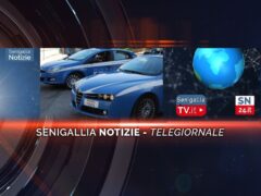 senigallia notizie telegiornale