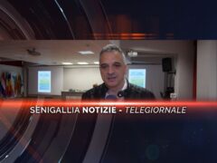 senigallia notizie telegiornale