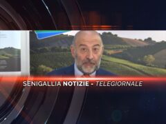 senigallia notizie telegiornale