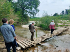 Passeggiate lungo il fiume Misa