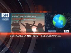 senigallia notizie telegiornale