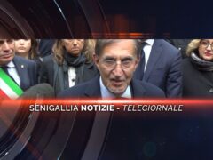 senigallia notizie telegiornale