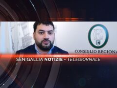 senigallia notizie telegiornale