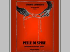 Libro "Pelle di spine"