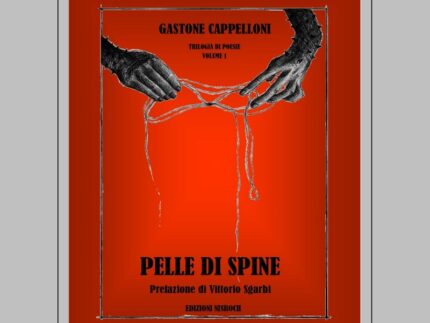 Libro "Pelle di spine"