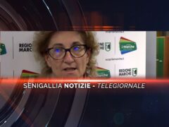 senigallia notizie telegiornale