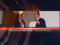 senigallia notizie telegiornale