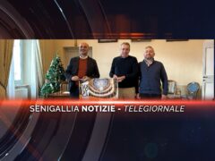 senigallia notizie telegiornale