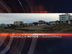 senigallia notizie telegiornale