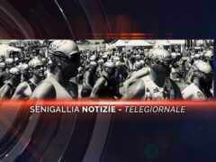 senigallia notizie telegiornale