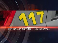 senigallia notizie telegiornale