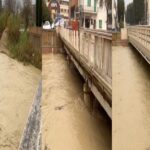 Fiume Misa