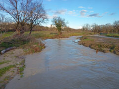 Fiume Misa nell'entroterra senigalliese