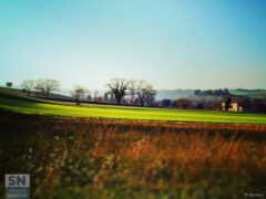Campi d'inverno - Foto Meri Venturi