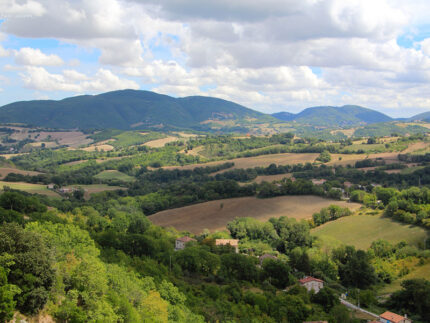 Monte Sant'Angelo - Arcevia