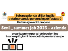 Seni_summer job 2023