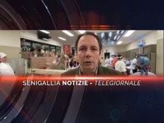 senigallia notizie telegiornale