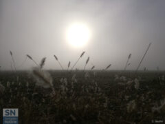 Magic fog - Foto Cristina Giachè