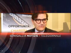 senigallia notizie telegiornale