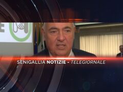 senigallia notizie telegiornale