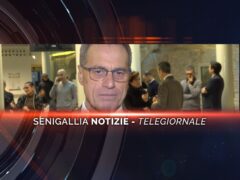 senigallia notizie telegiornale