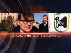 senigallia notizie telegiornale