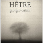 Hetre - Mostra di Giorgio Cutini