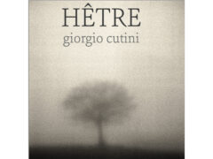 Hetre - Mostra di Giorgio Cutini