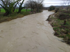 Fiume Misa a Casine di Ostra il 01/03/2023 - Foto Giancarlo Rossi