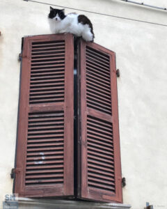 Affacciati alla finestra amore mio - Foto Alberto Bertini