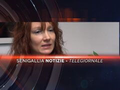 senigallia notizie telegiornale