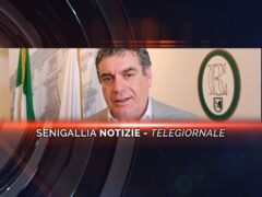 senigallia notizie telegiornale