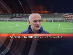 senigallia notizie telegiornale
