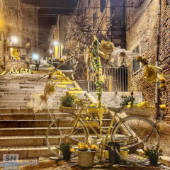 Corinaldo si tinge di giallo - Foto Rita Zingaretti