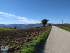 La strada verso l'infinito - Foto Sara Susannini
