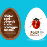 Pasqua solidale con le uova della Coop. Casa della Gioventù