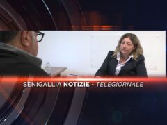 senigallia notizie telegiornale