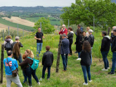 Il Calice Racconta - Visite in cantina