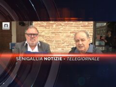 senigallia notizie telegiornale