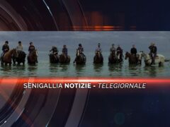 senigallia notizie telegiornale