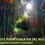 "Passi e suoni sulla via del mulino"